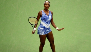 Venus Williams Wallpapers And Backgrounds