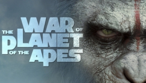 War For The Planet Of The Apes Wallpapers Hd