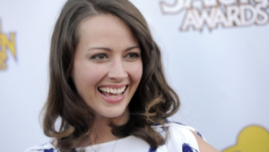 Amy Acker Pictures