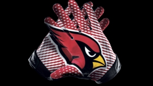 Arizona Cardinals Background