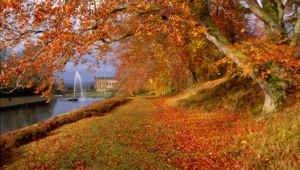 Autumn Wallpapers Hd