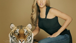 Beyonce Knowles Hd Desktop