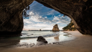 Cathedral Cove Pictures