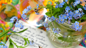 Forget Me Not Flower Hd Background
