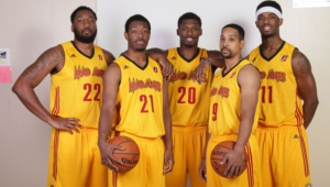 Fort Wayne Mad Ants Pictures