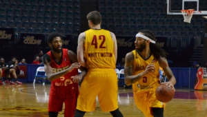 Fort Wayne Mad Ants Wallpapers