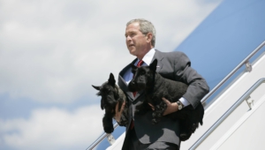 George Bush High Quality Wallpapers