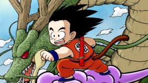 Gokuu Son High Definition Wallpapers