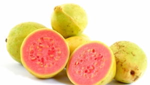 Guava Desktop