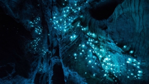 Illuminated Caves Desktop