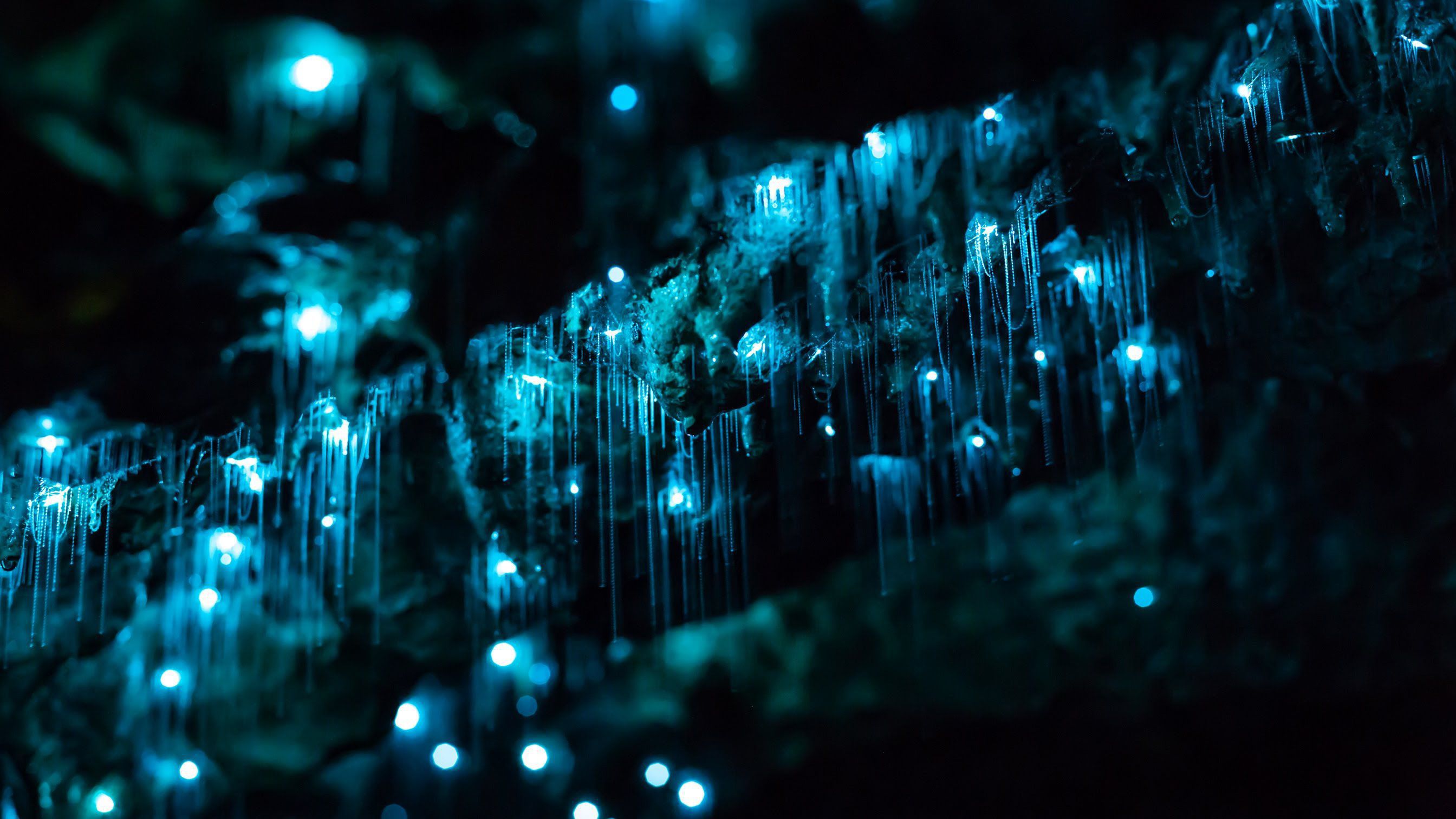 Illuminated Caves Hd