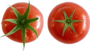 Images Of Tomato