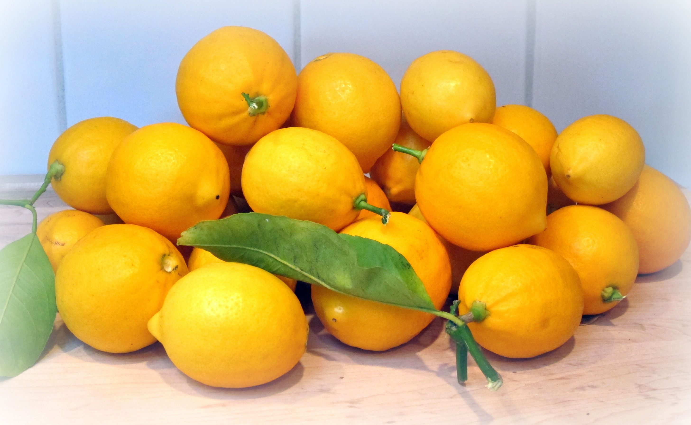 Лимон это овощ или ягода. Для хранения лимона. Лимон это фрукт или ягода. Лимонник хранение. Как выбрать лимон.