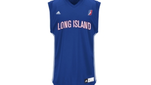 Long Island Nets Widescreen