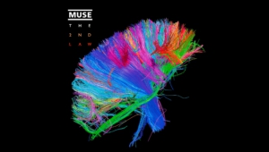 Muse High Definition Wallpapers