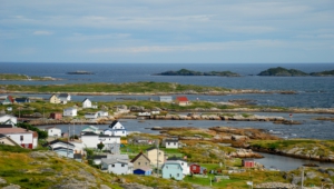 Newfoundland Widescreen
