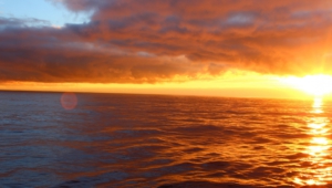 Ocean Sunset Desktop