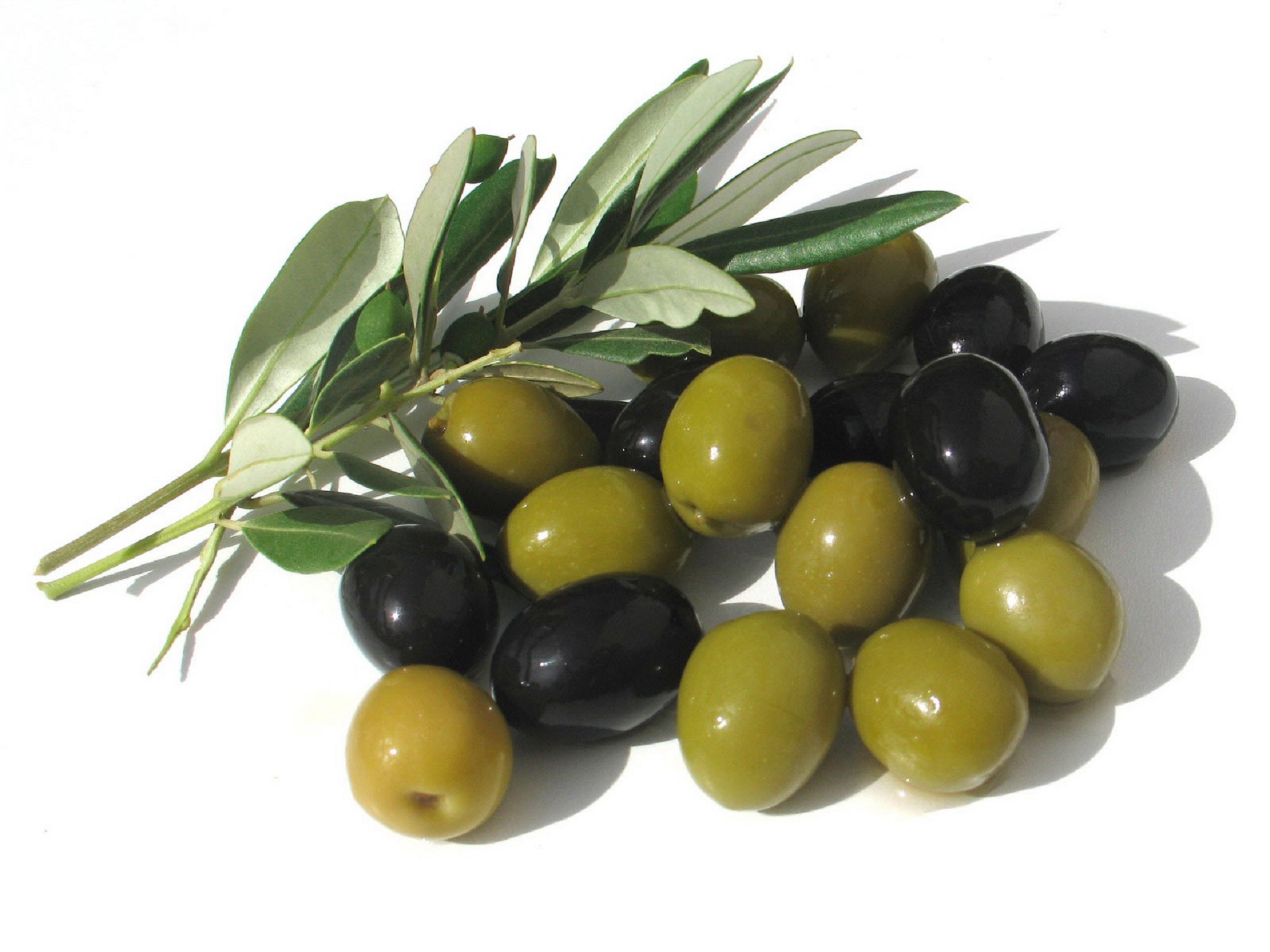 Olives Background