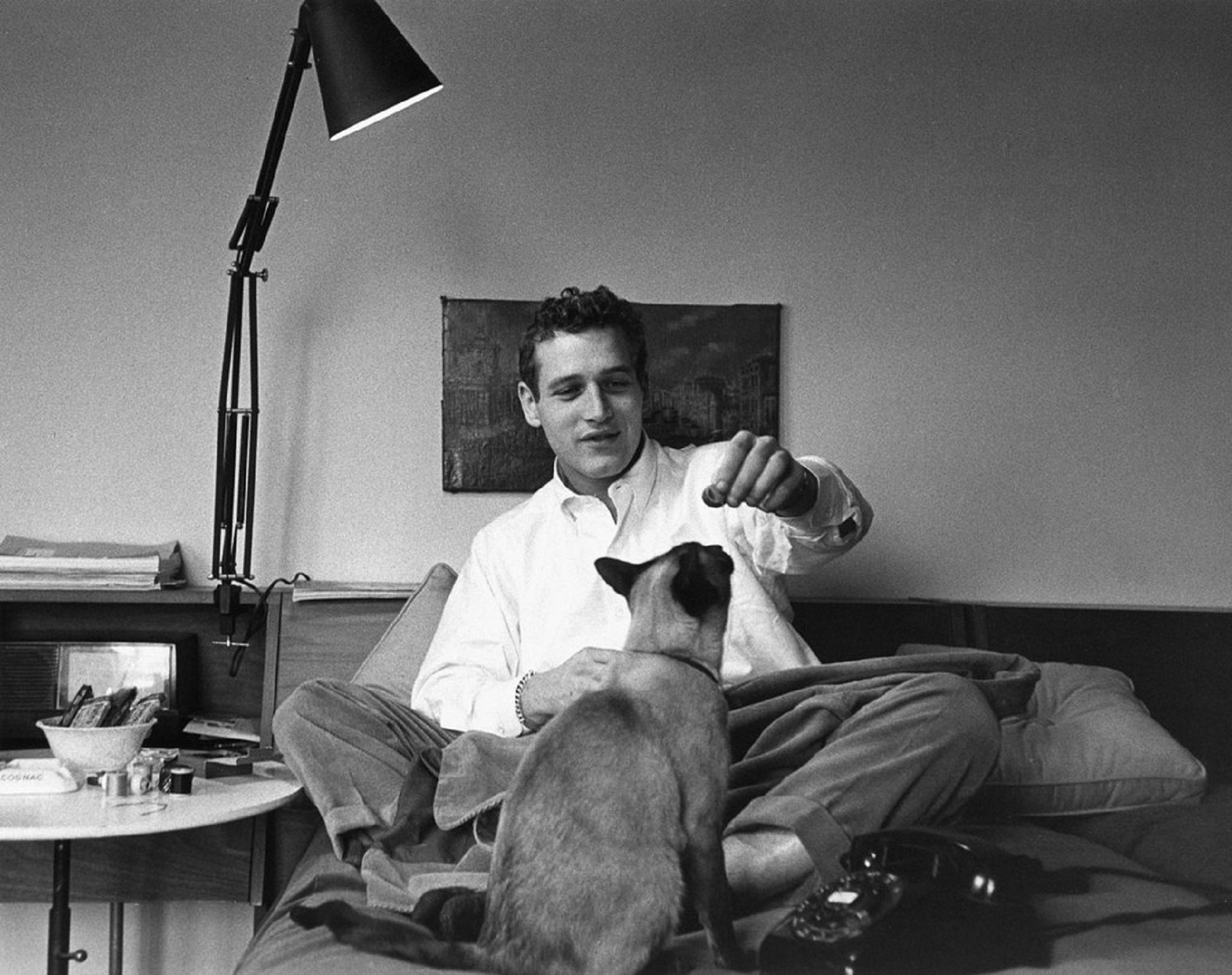 Paul Newman Images
