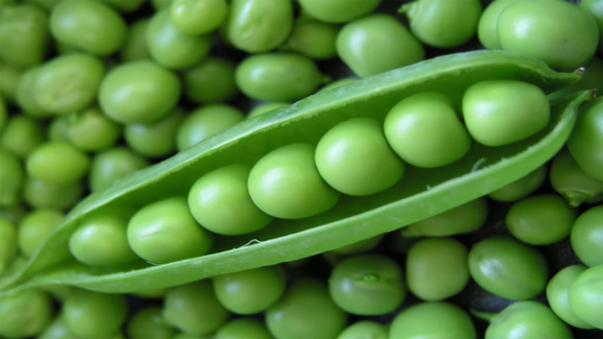 Peas High Definition