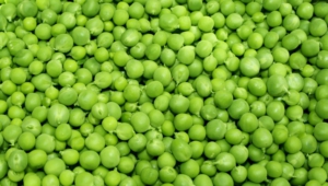 Peas High Quality Wallpapers