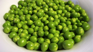 Peas Pictures