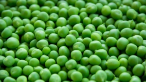 Peas Wallpapers Hq