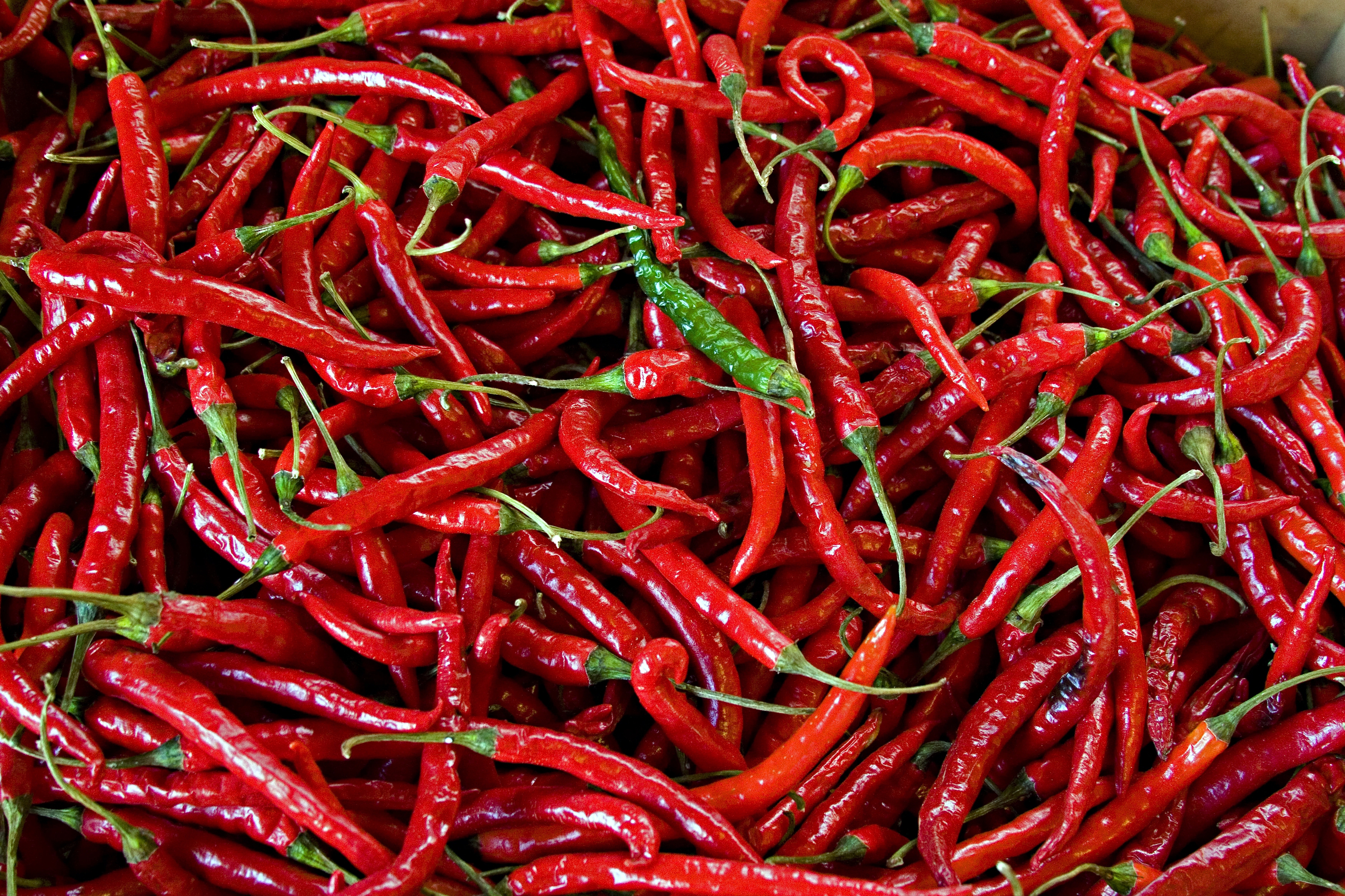 Peppers Download Free Backgrounds Hd