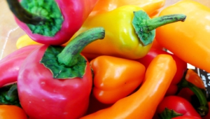 Peppers Images