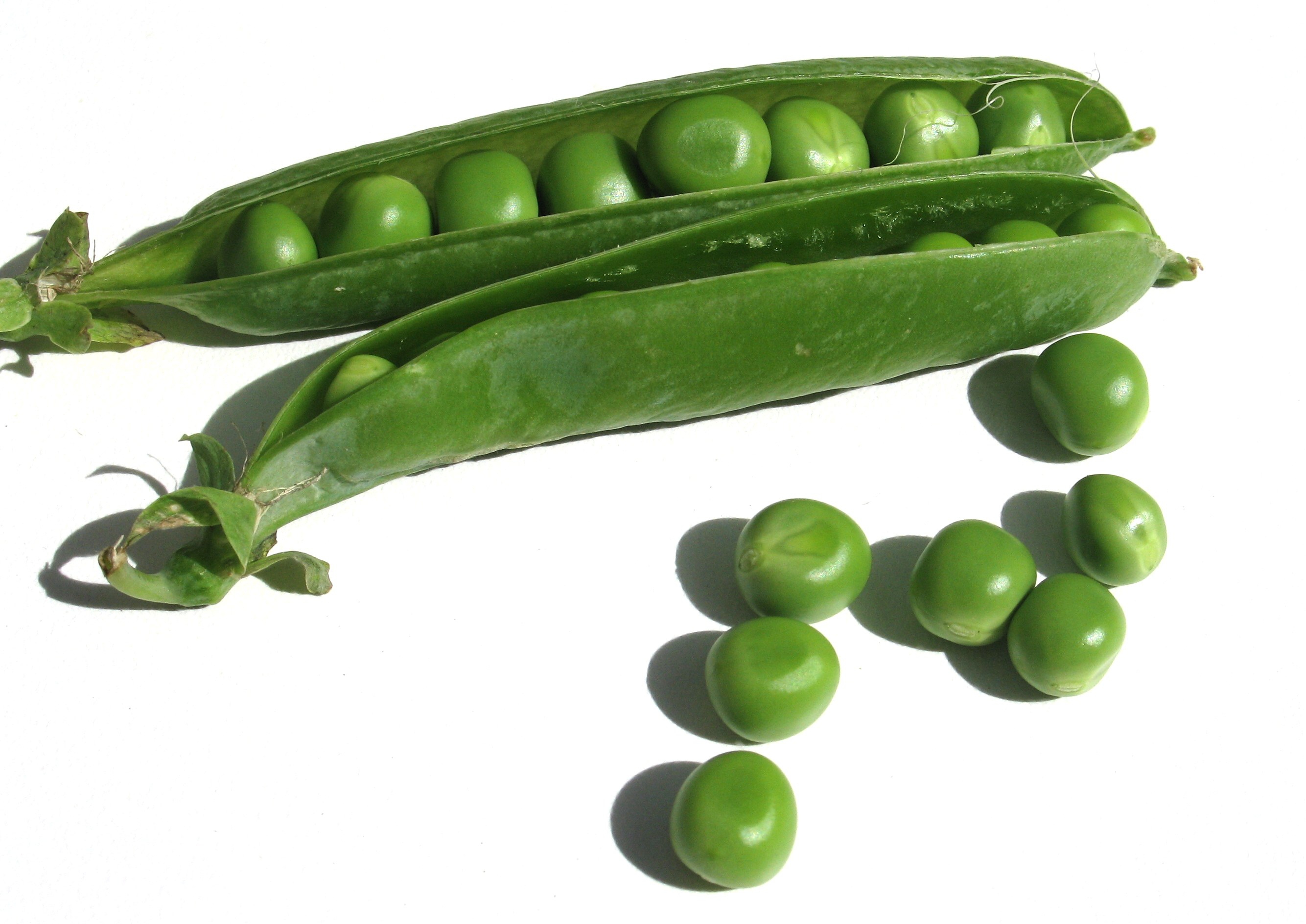 Pictures Of Peas.