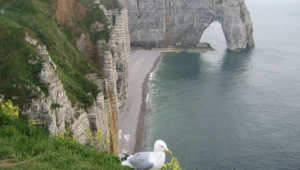 Pictures Of The Cliffs Of Etretat