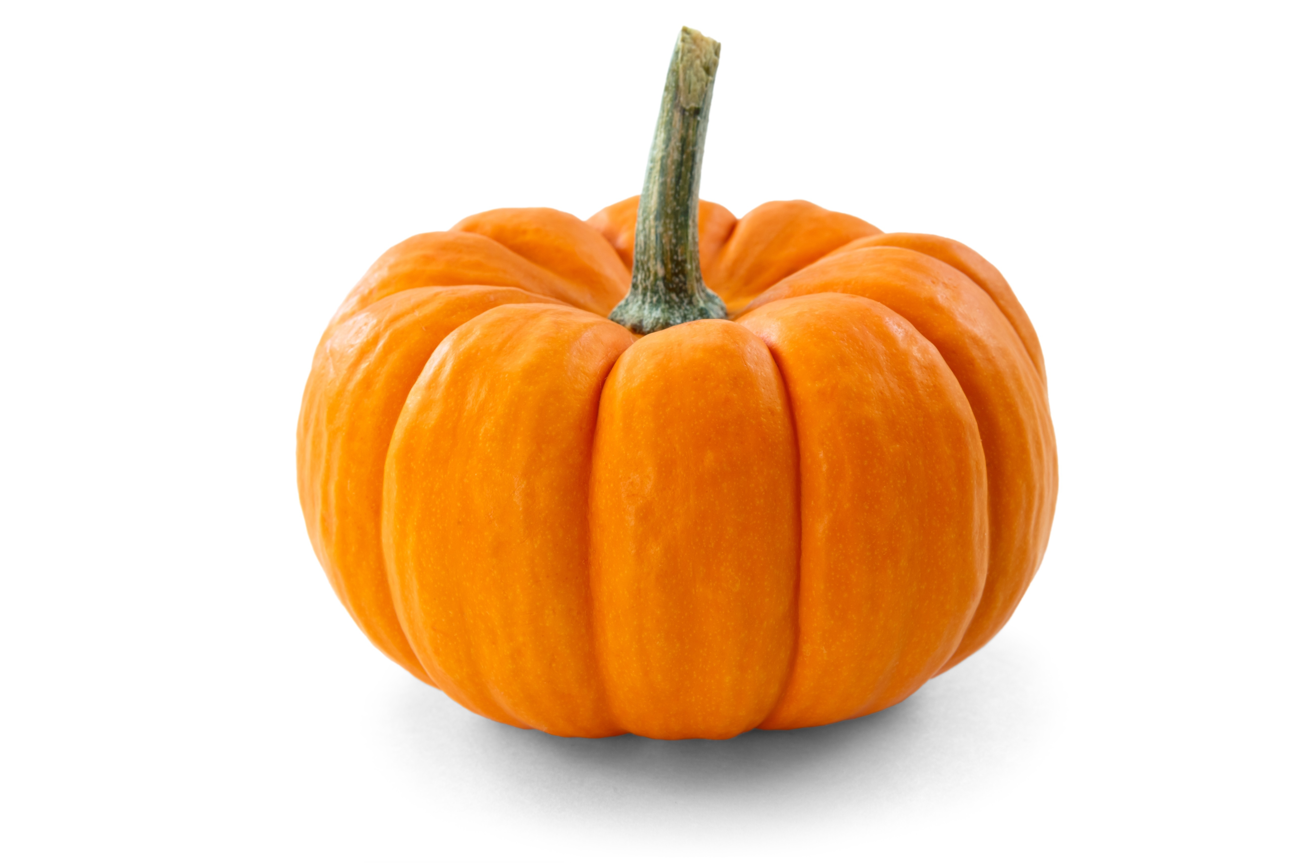 pumpkin-4k