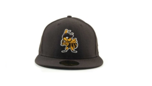 Salt Lake Bees High Definition Wallpapers