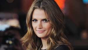 Stana Katic High Definition Wallpapers