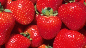 Strawberry Desktop