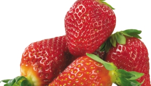 Strawberry Free Download