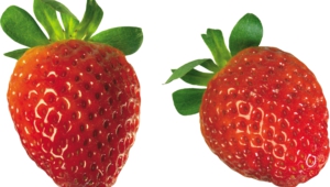 Strawberry High Definition