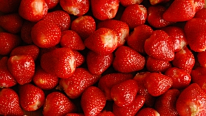 Strawberry Pictures