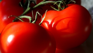 Tomato 4k