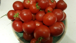 Tomato Desktop