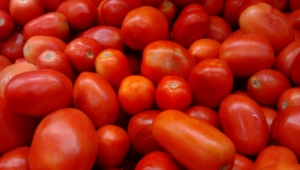Tomato Hd