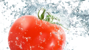 Tomato Wallpapers And Backgrounds