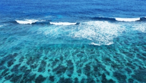 Turquoise Sea Full Hd