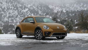 Volkswagen Beetle Images