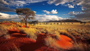 Wind Cathedral Namibia High Definition Wallpapers