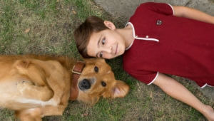 A Dog's Purpose Pictures