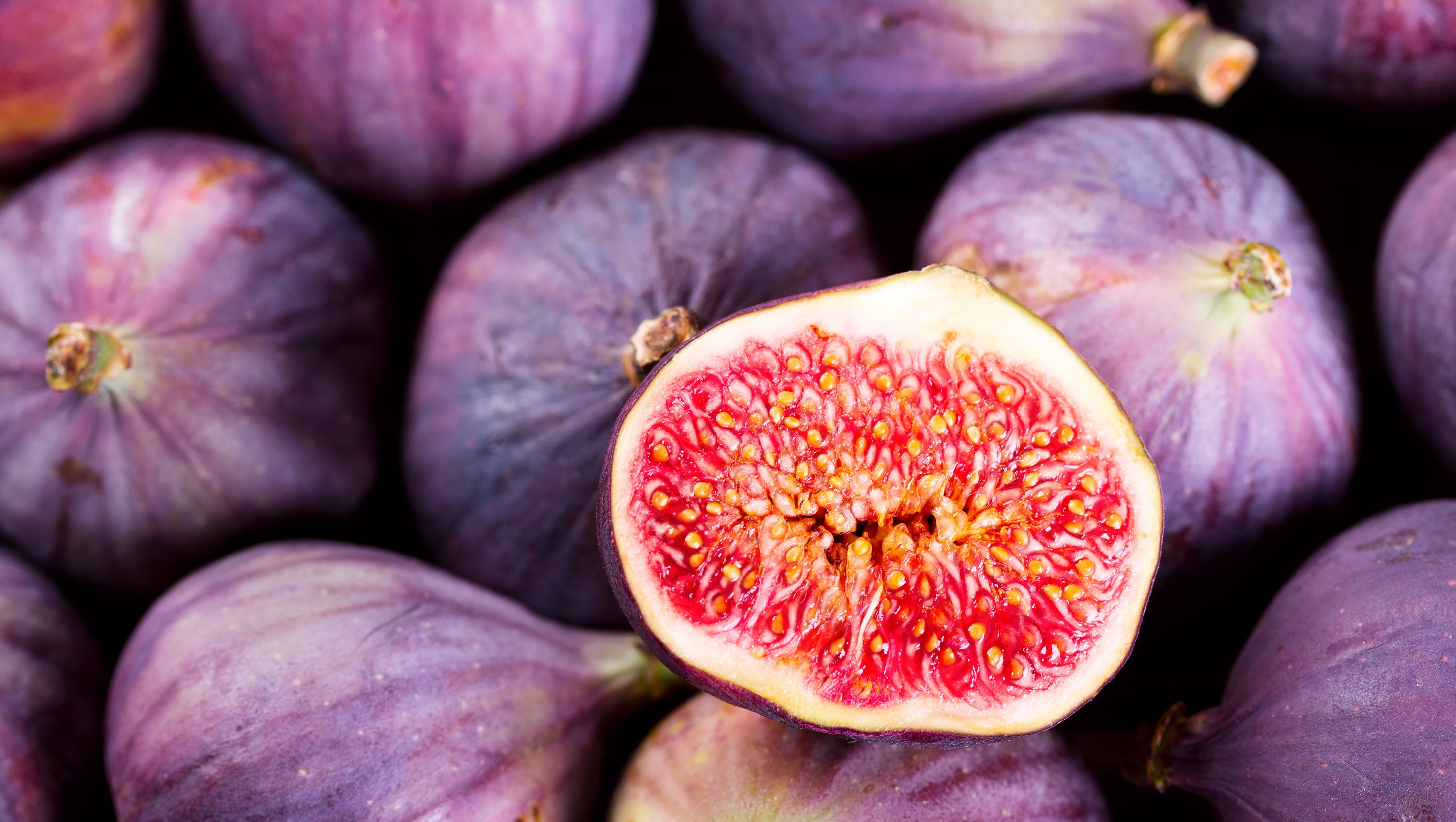 fig-wallpapers-images-photos-pictures-backgrounds