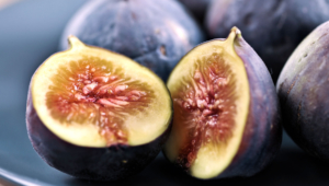 Fig Wallpapers HD
