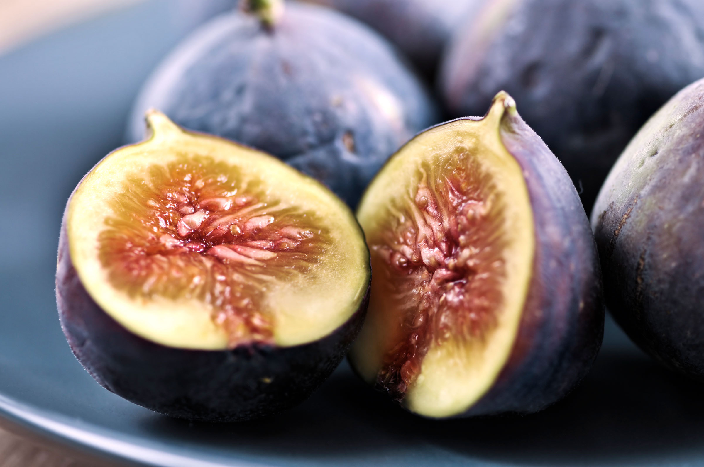 Fig Wallpapers HD